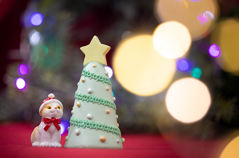 クリスマスカードを作ろう!