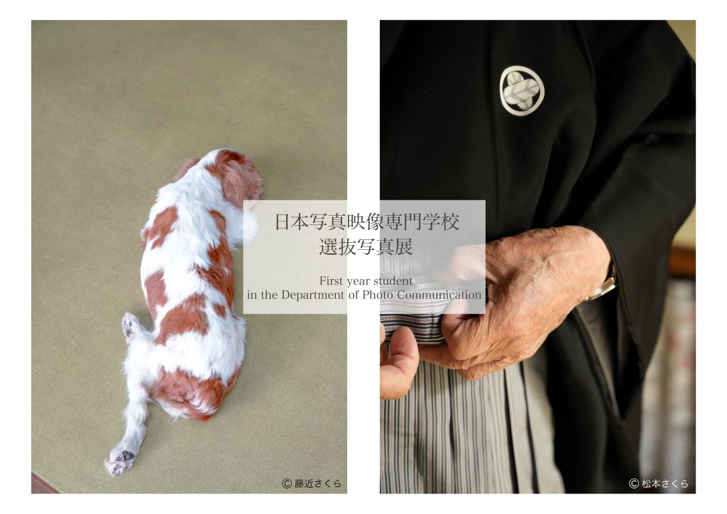 DMデータ